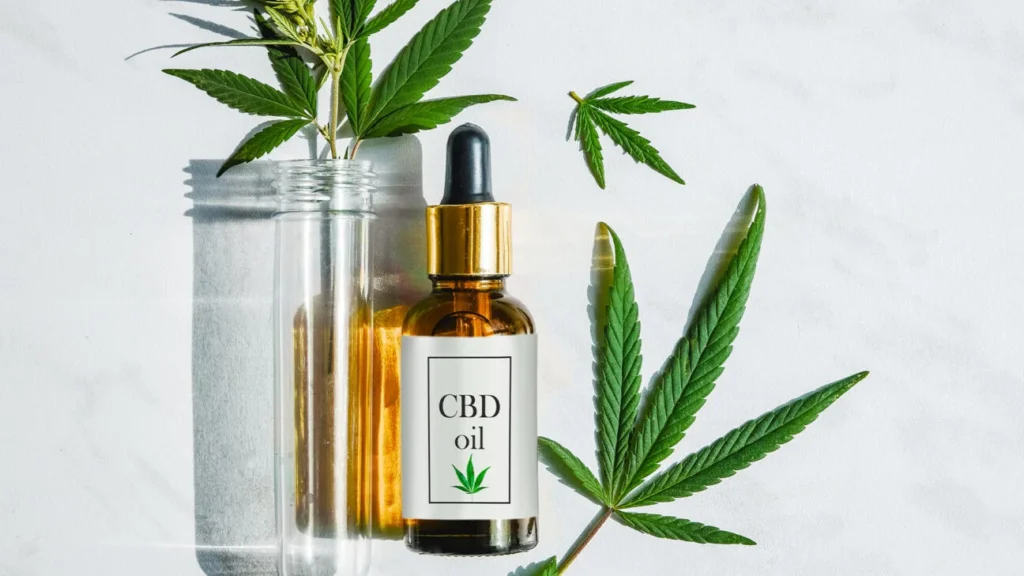 cbd oil cannabidiol