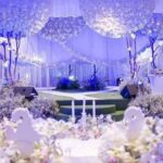 Explore Exclusive Wedding Venues Tailored for Your Special Occasion